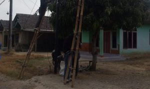 IMG-20260728-WA0024